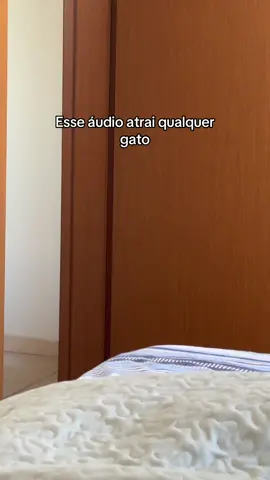 Eu nem tava botando fé kkkk