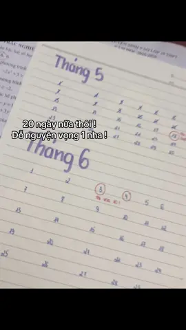 #2010 #donv1 #thituyensinhlop10 