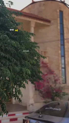 #اكسبلور #المفرق_الباديه_الشماليه🇯🇴🇯🇴 #الاردن #المفرق #السرحان 