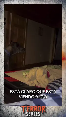 Dicen que los animales tienen un sexto sentido, que nosotros no tenemos. ¿Que opinas? #paranormal #scary #horrortok 