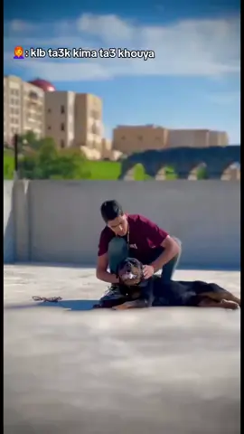 #شعب_الصيني_ماله_حل😂😂 #ضحك #مهبولة 