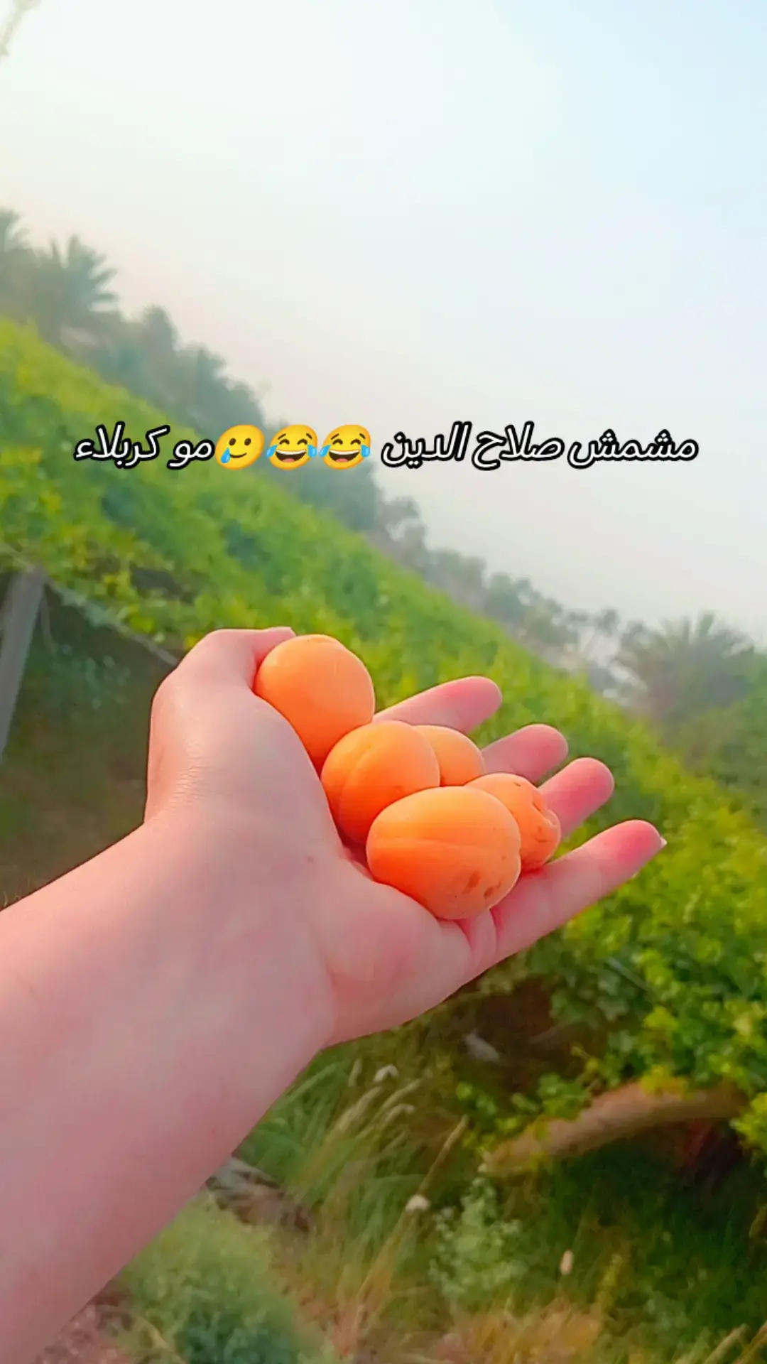 #صلاح_الدين #الشعب_الصيني_ماله_حل😂😂 #صلاح_الدين #الضلوعيه_صلاح_الدين #سامراء_مدينه_الامامين_العسكريين #العزاوي 