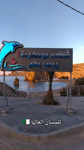 😍 موسكاردة  #مرسى_بن_المهيدي #سيدي_يوشع #ندرومة #غزوات_السواحلية_تلمسان #مغنية_____وجدة🇲🇦🇩🇿🇩🇿🇩 