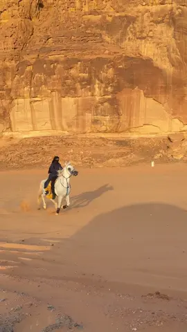 #explore 