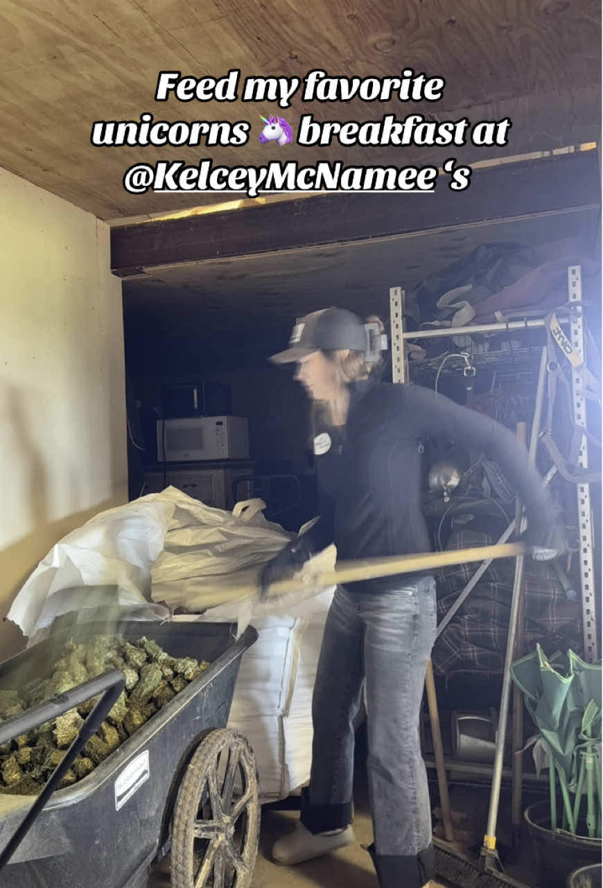 I call it “me time” 😂✨ @Kelcey McNamee feeds the best alfalfa cubes from @southernstarfeeds  They are SO soft & no added anything! 👌🏼 #barrelracer 