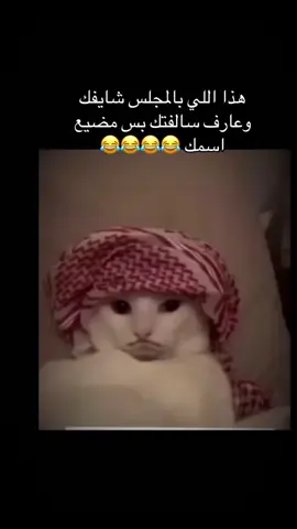 #الشعب_الصيني_ماله_حل😂😂 #😂😂😂😂😂😂 