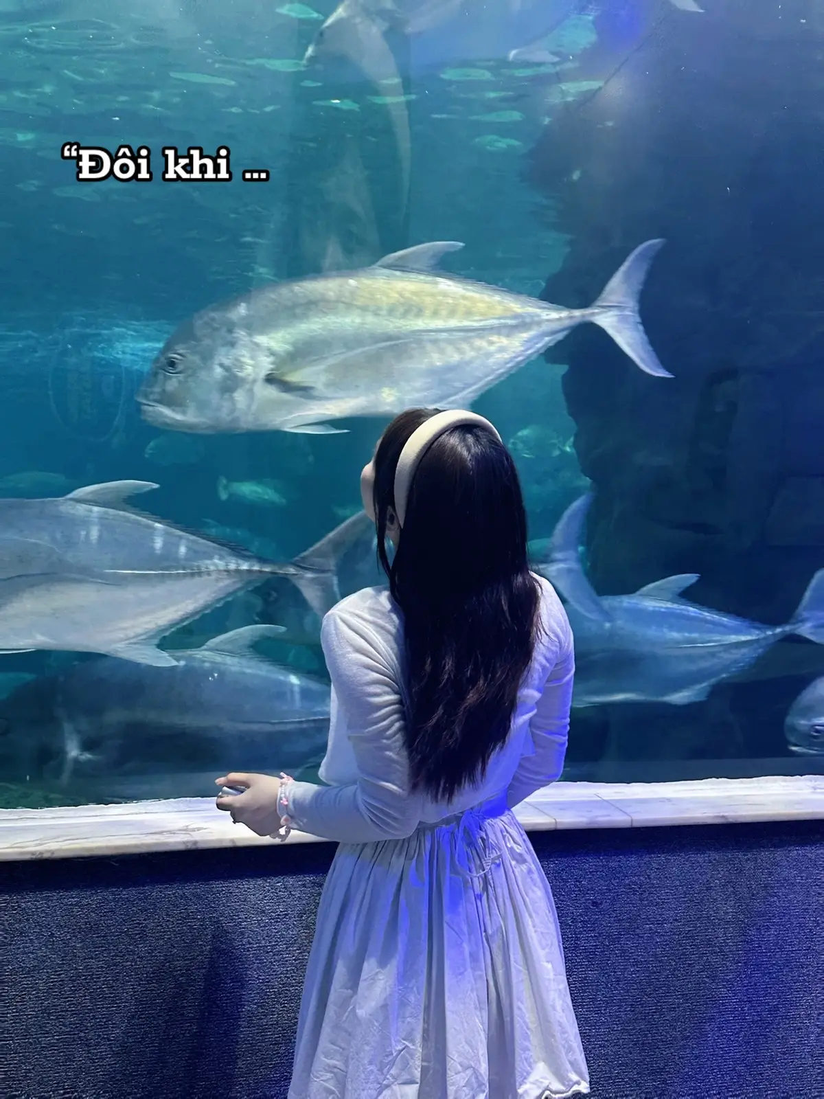 #thuycungtimecity #hanoi #frends #xh #viral #fyp 