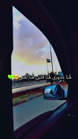 #هنا_جذوري_هنا_قلبي_هنا_لغتي🥹💚💚 