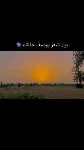 #متابعه_ولايك_واكسبلور_فضلا_ليس_امر 