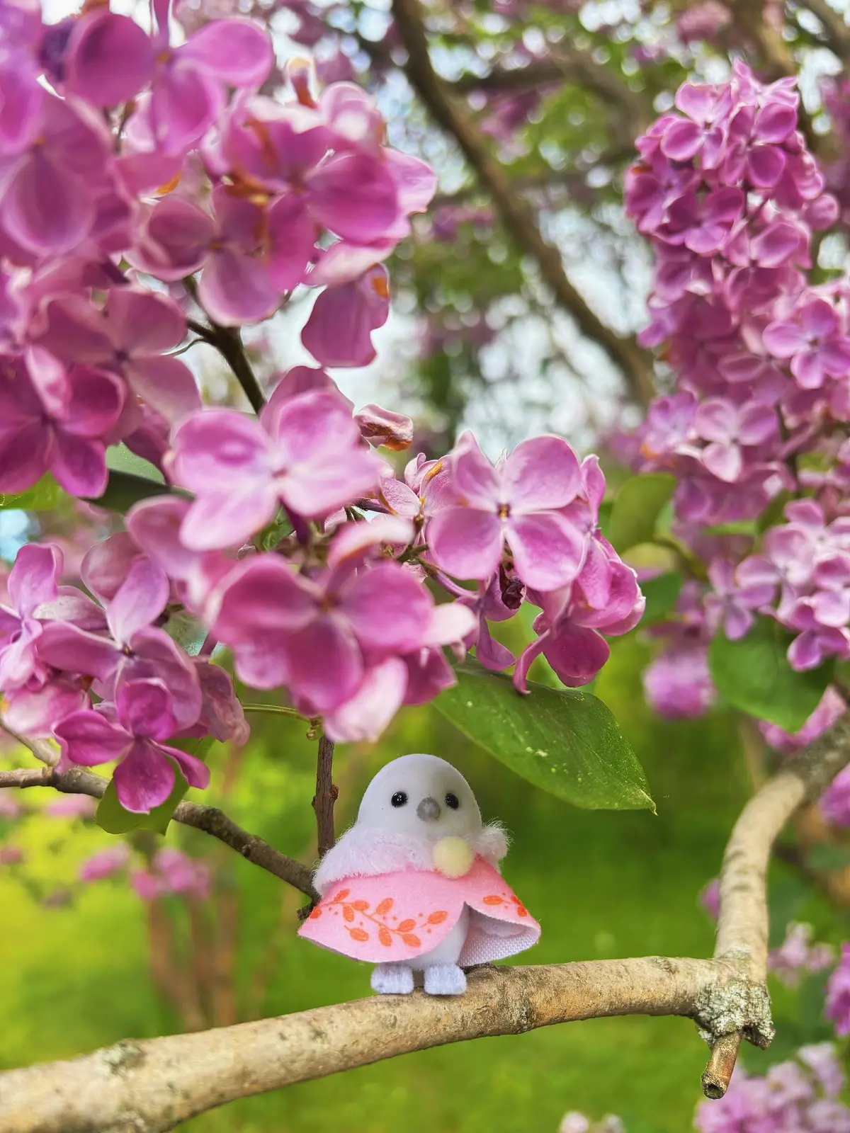 #sylvanianfamilies #calicocritters #bird #シルバニアファミリー #photography #flowers 