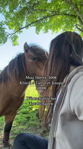 Diesmal keine Ironie 🤣