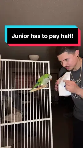 Breaking bad news to Junior is never easy 😔 #fyp#junior#rent#inflation#roomate#nothappy#mad#whyishelikethis 