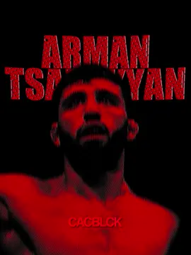 Our future champ 🇦🇲 | this took years to make | #fy #fyp #arman #armantsarukyanedit #armantsarukyan #armantsarukyan🇦🇲🦁 #fyp #foryou #edit #ufcedit #ufcedits #afterffects #ae #foryoupage 