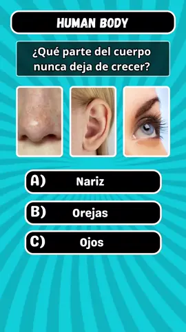 Human body #quiz #anatomy #doctor #LearnOnTikTok #quizchallenge 