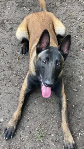 #malinwa #شربوني #malinwa #malinwa #etoo 🇧🇪🩸