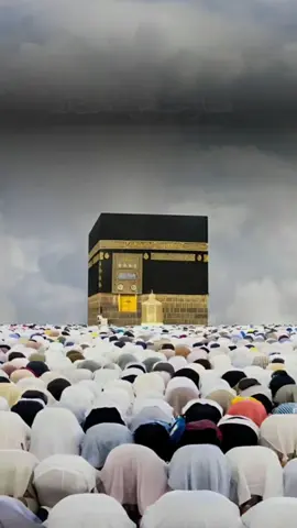 فَإِذَا عَزَمۡتَ فَتَـــــــــــــــــــــــــــــــــوَكَّلۡ عَلَى ٱللَّهِۚ Go'aan HaDaa Gaartana ALLE Isku HaLee @🌻⚘️القران الكريم✨️🌻  الشيخ عبد الودود مقبول حنيف✔️  Abdul wadood haneef ❤️ 