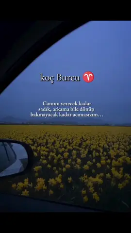 #keşfetteyizzzzzzzzzz #fyppppppppppppppppppppppp #viraltiktok #viralvideo #burçlarhakkında #burçlaragöre #koçburcu #Aries♈👑 