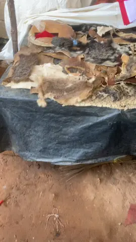 Whatsapp 225 07 88 51 18 90