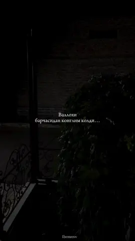 015 )  #реелс #fy #fypシ゚ #рекачик #relss #instagood #instagram #treding #🧢 #рекоминдации #📌 