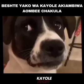 #fyp#trendingvideo#100k#kenyatiktok 