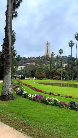 #algerie🇩🇿 #تحيا_الجزائر #dz 