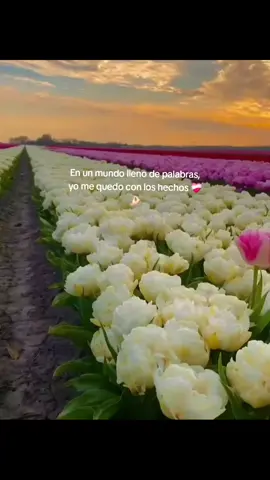 #prince #dedicar #fyppppp #fyp #viral_vide 