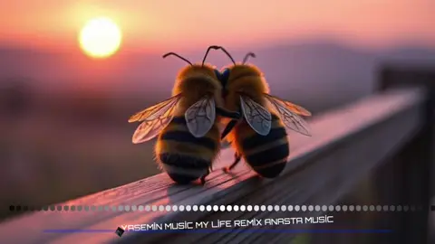 Y❤️🌙NW.MUC🎶🤗🐝👩‍❤️‍👨😆 #YASEMİN #MUSİC #NEW #ORİGİNAL #MİX #VİRAL #VİDEO #VİRAL #MUSİC  #REMİX #FOR #YOU 