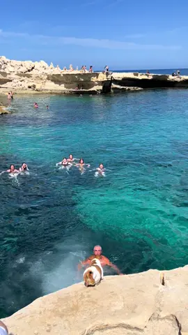 pływający sławny piesek #malta 