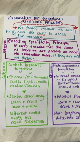 Retrieval, failure, explanation of forgetting #aqapsychology #paper1psychology #psychologypredictions #OxfordRevise #exams2025 #alevelpsychologyrevision #alevelpsychology #alevelpsychology #memory 
