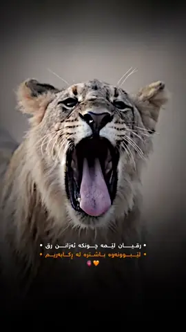 #wtta #foryou #wtae_jwan #وتە #وتەیەکی_جوان_بنوسن🙃💔 