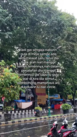 semut be like : pitnah pitnah:v #kidstersenyum 