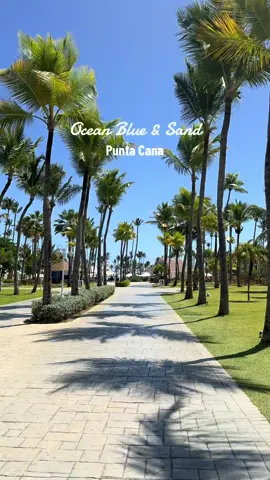 Ocean Blue & Sand Beach 🌴 #dominicanrepublic #puntacana #oceanbluesandresort #travel #fyp #traveltiktok #blackgirltravel 