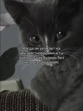 #р_е_к_о_м_и_н_д_а_ц_и_и #глобальныерекомендации #рекомендации #популярное #рек #explore 