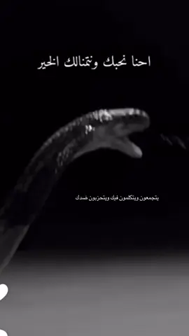 #نبض_قلبي 