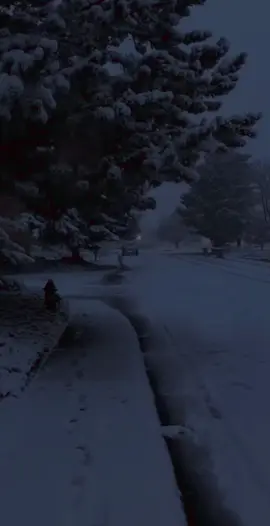 #fyp #aesthetic #darkaesthetic #snow #nyxvl__ 