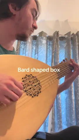 #nirvana #heartshapedbox #lute #fyp 
