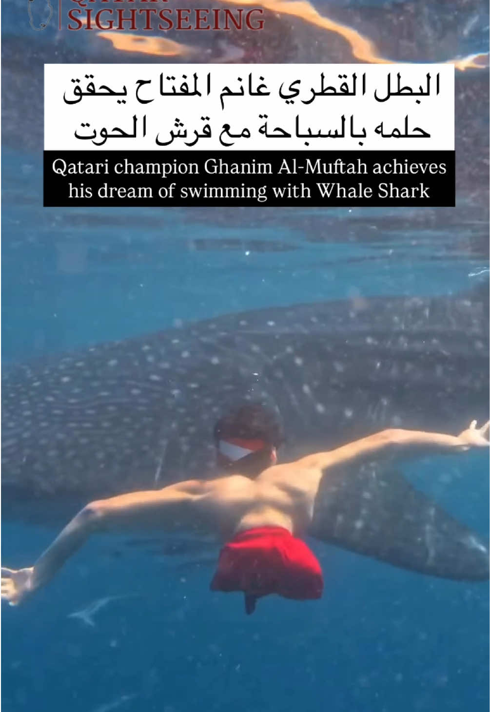 البطل القطري غانم المفتاح يحقق حلمه بالسباحة مع قرش الحوت Qatari champion Ghanim Al-Muftah achieves his dream of swimming with Whale Shark #قطر #الدوحة #قطر_اليوم  #qatar #doha #qatarnews