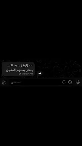 كبور #اكسبلورexplore #البصره_شط_العرب 