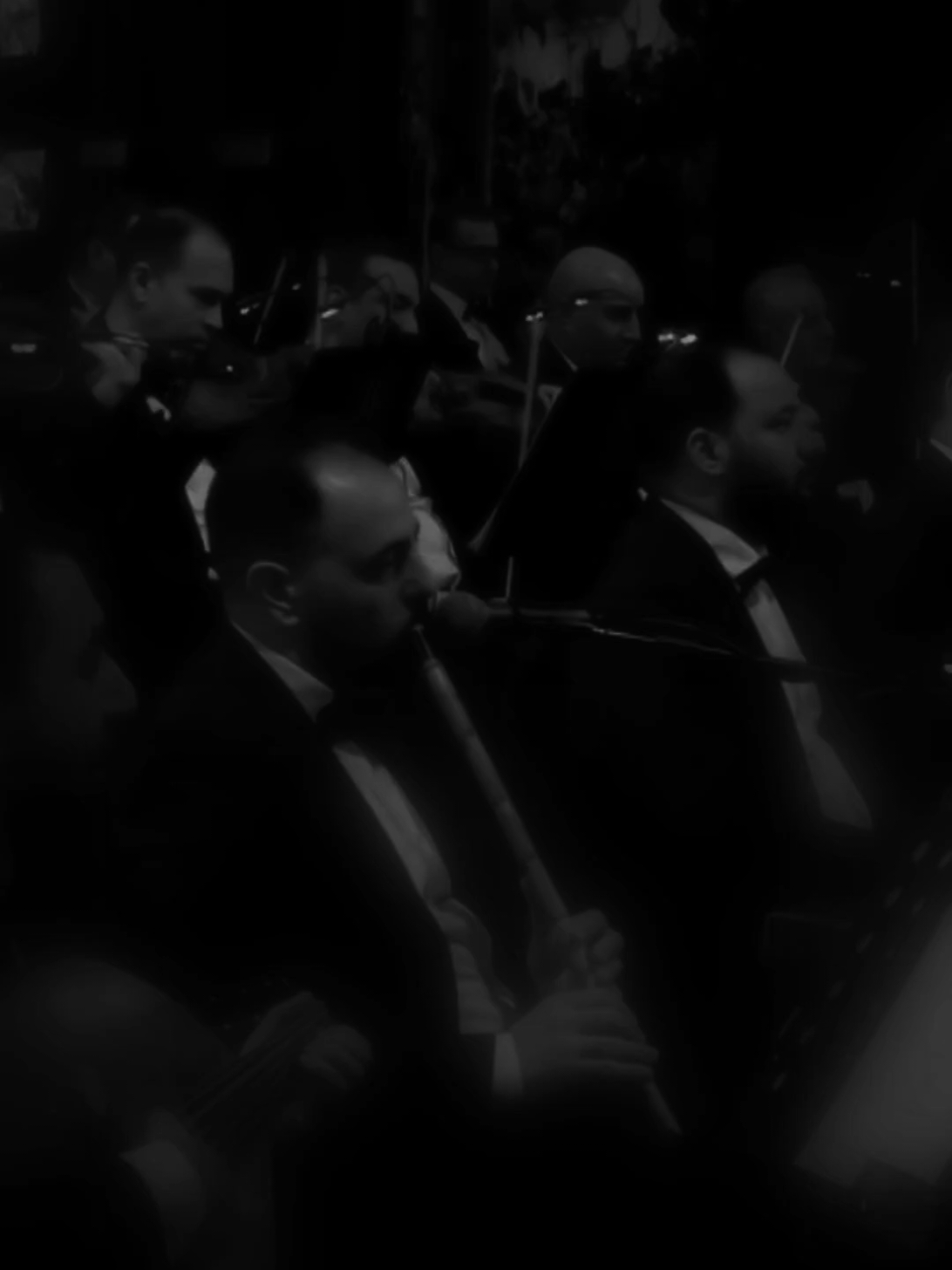 و القلب دق القلب 🤎🤎🤎 . . #اصاله_نصري #اصاله #fyp 