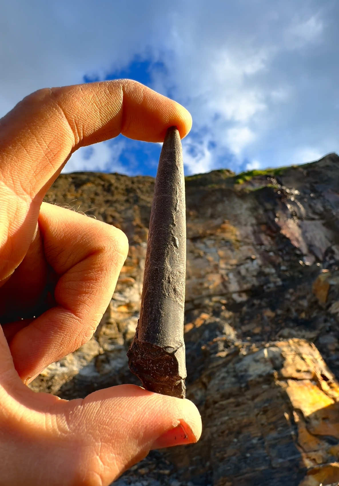 We found a perfect 3D ammonite, a crushed cephalopod and two squid fossils! 🏝️ These are all Jurassic specimens, around 185 Million Years Old!  🦖 Which fossil was your favourite? 🤔 