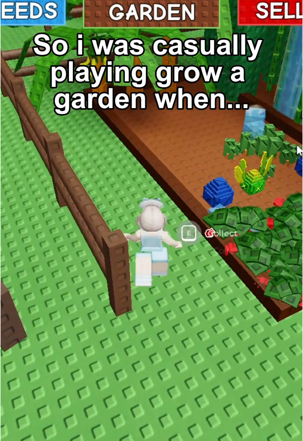 should i steal back from her? let me know 😏 #fyp #roblox #growagarden #foryou #xyzbca #vvumin #dahoodroblox #deadrails #robloxfyp #viral @Kirby this is a joke btw nothing is serious 