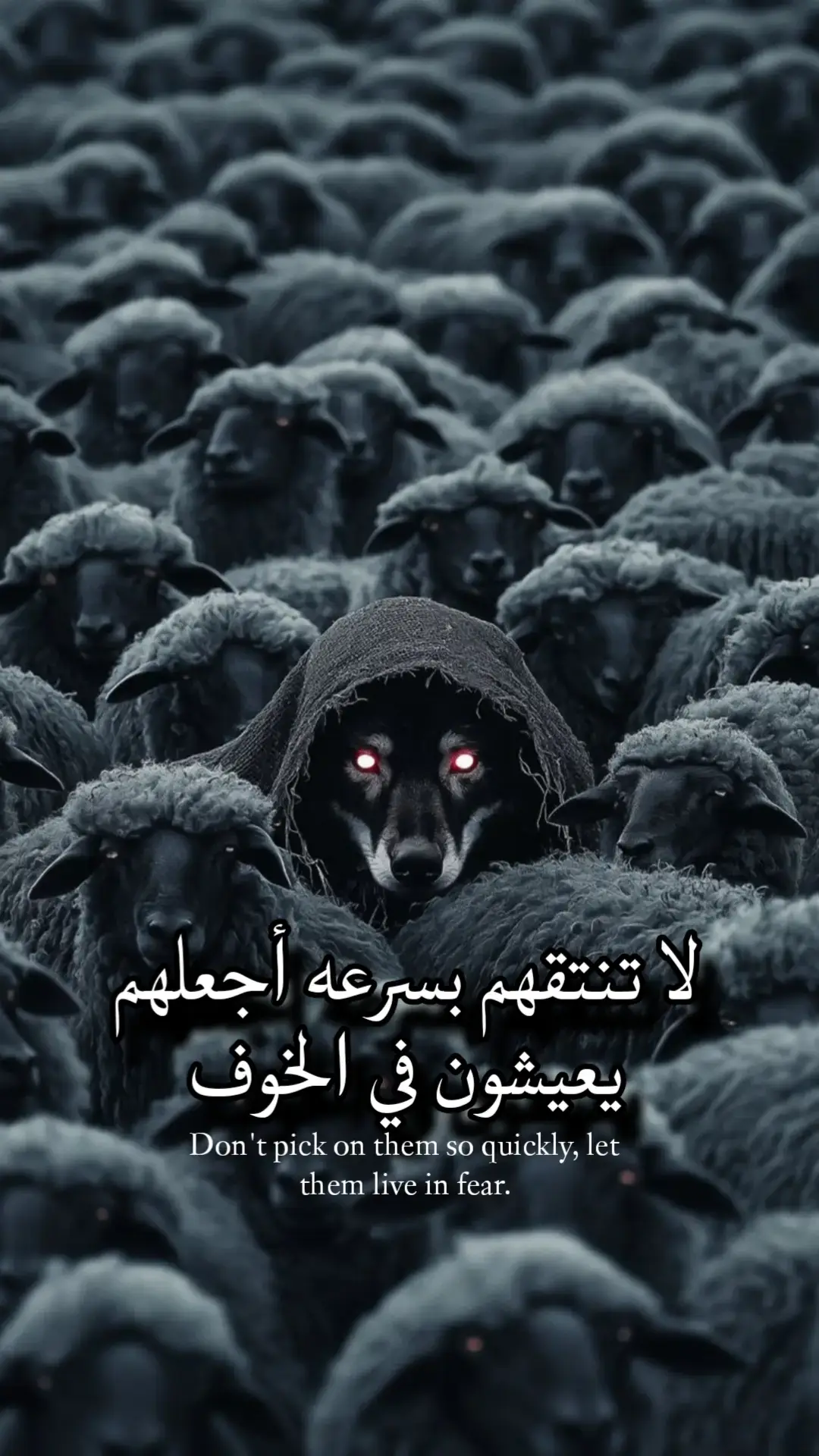 #صعدو_الحساب #اقتباسات_عبارات_خواطر #اقتباسات📝 #foryou #fyp 