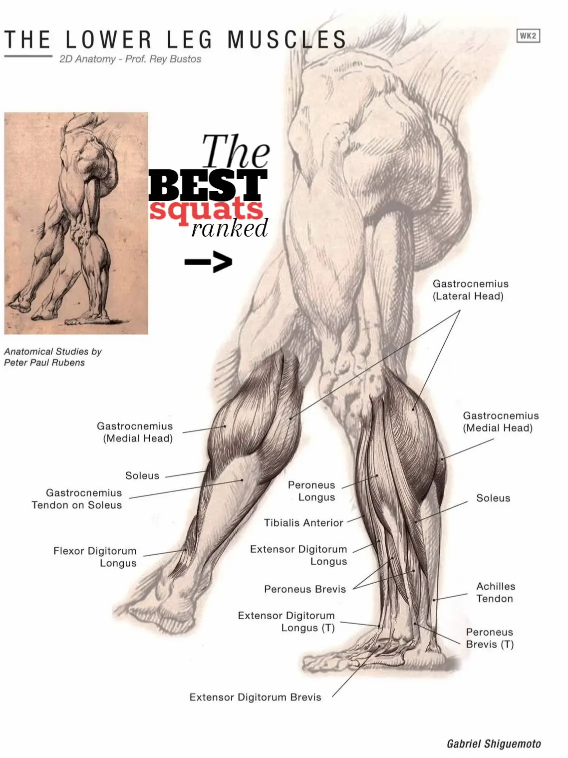 part 1 #Fitness #workout #gym #calisthenics #thebodymechanic #fyp #legs 
