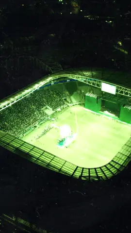 Nós #SomosSociedade, torcida que canta e vibra! 💚 #Palmeiras #TikTokEsportes