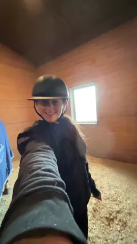 Hero was not impressed 😭#horses #showjumping #showjumping 