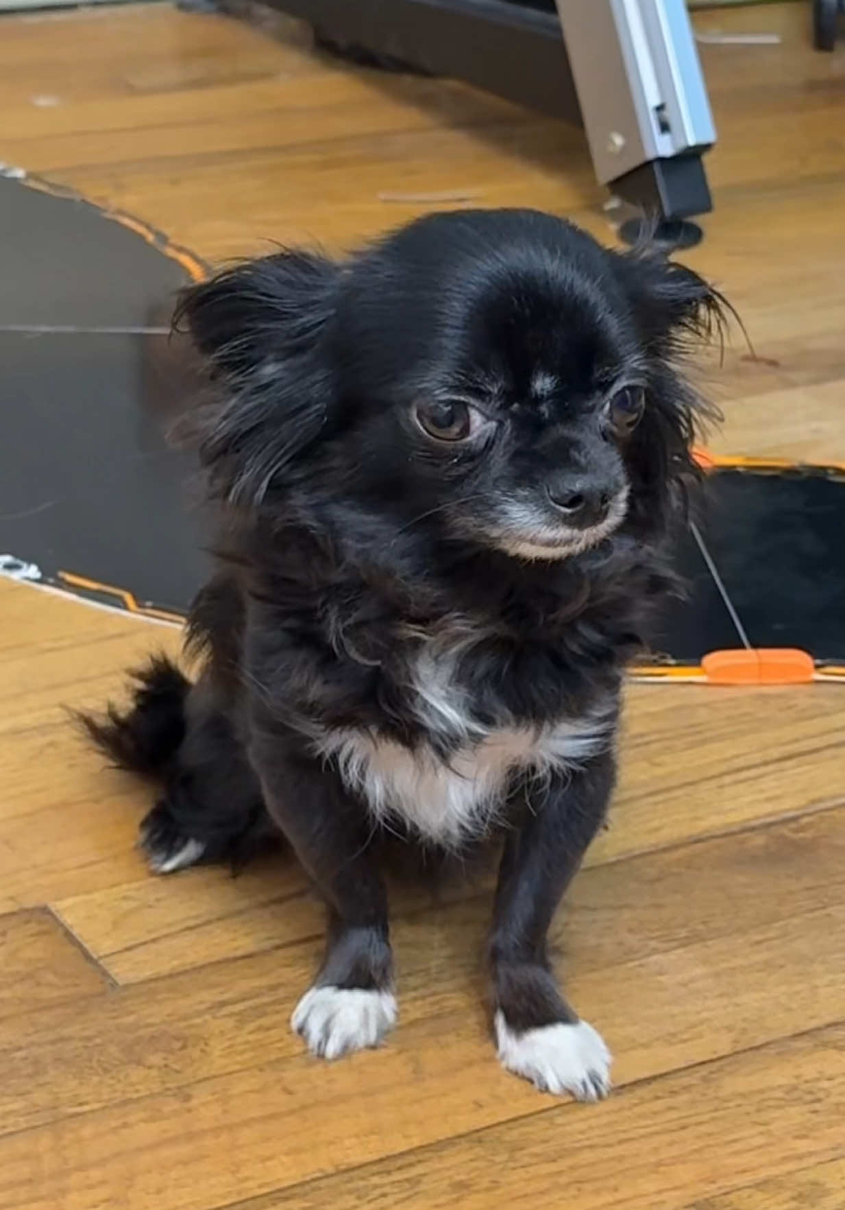 Racetrack Puddin 😱❤️