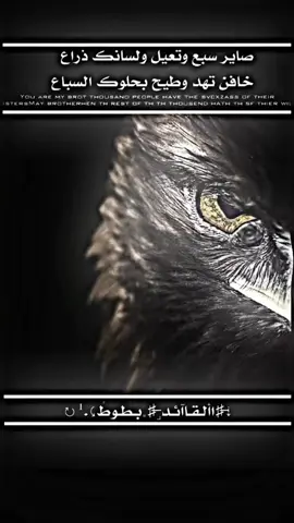 ‏#دويتو مع @˼ ♯̶ٓصـًوفِـيَ ألإصـۧـلٛ⚡⤹✘˹ #اغا_وحيد_مرادي🦅 