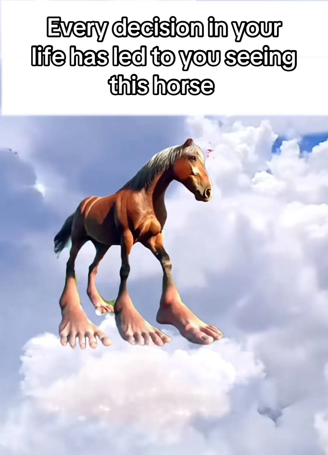 #brainrot #hopecore #fypシ゚ #evan282 #horse 