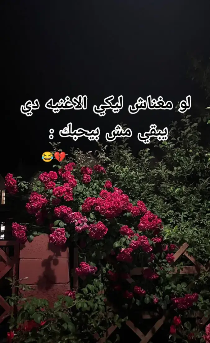 #fyp #fypシ゚ #loveyou #viral #funny #Love #اغاني #ak #foryou #loveyou 