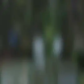 امام انضار ارلوند ميمي يسجل هدفين ويعزز صدارته لهدافي دوري نجوم العراق بـ 25 هدف في 33 جوله 🇮🇶🔥#foryou #مهند_علي #ميمي #ابو_الميم #العراق #اسود_الرافدين #tiktok #capcut   
